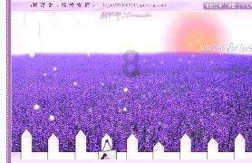孤岛先锋