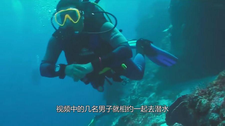 这棵什么树?-机智问答网页,智能解答你的疑问