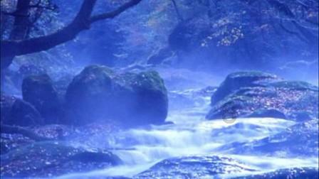 《繁花》看“上头”,快来跟钱程老师学讲上海闲话!